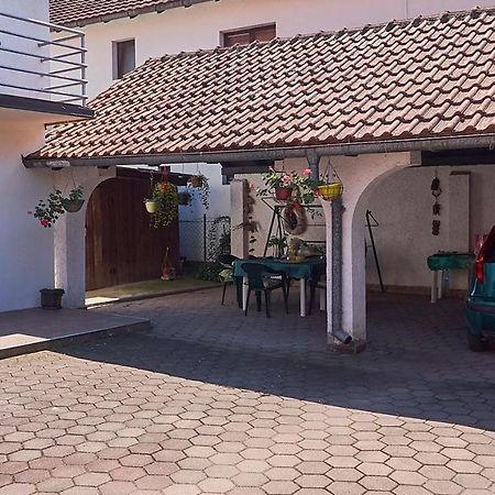 Milica Villa Banja Koviljača Exterior foto